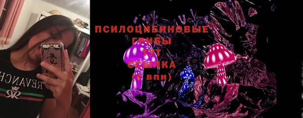 spice Нея