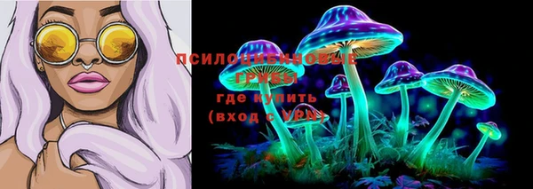 гашик Надым