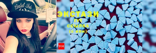 ECSTASY Горняк