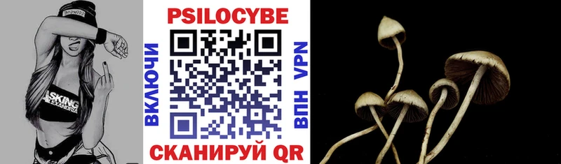 Галлюциногенные грибы Psilocybe кракен рабочий сайт дарк нет какой сайт Кемь