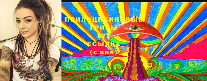 Галлюциногенные грибы Cubensis  Кемь 